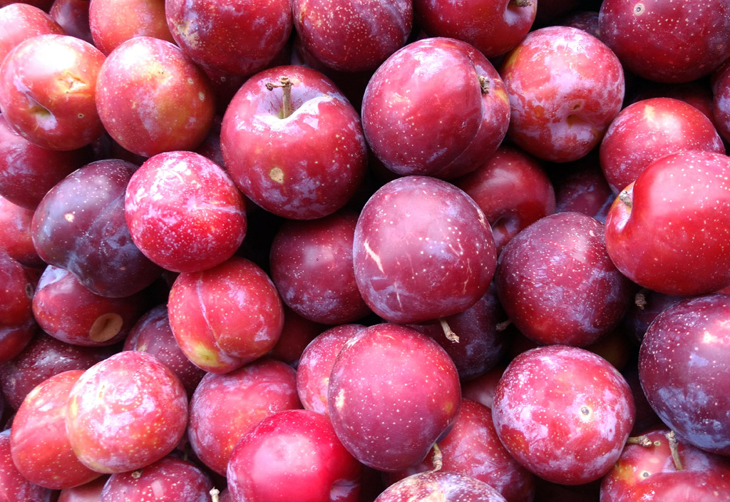 domaci-dzem-blumy-1024x704px